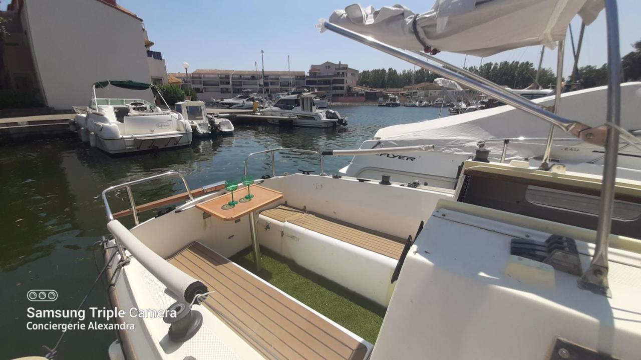 Nuit Insolite A Bord De L'Enata Un Voilier A Quai Sur La Marina De St Cyprien Saint-Cyprien  Exteriör bild
